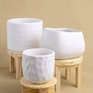 chậu men sứ mắt na