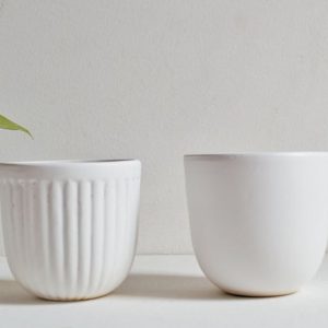 Chậu men sứ mochi kẻ sọc