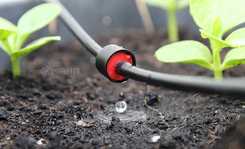 hệ thống tưới nhỏ giọt