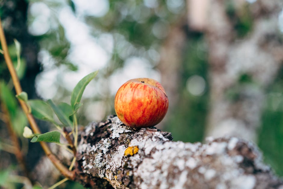 A vibrant red apple sits on a rustic branch amidst lush greenery, showcasing nature's beauty.