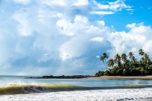 Serene tropical beach in João Pessoa, Brazil with palm trees and ocean waves under a bright blue sky.