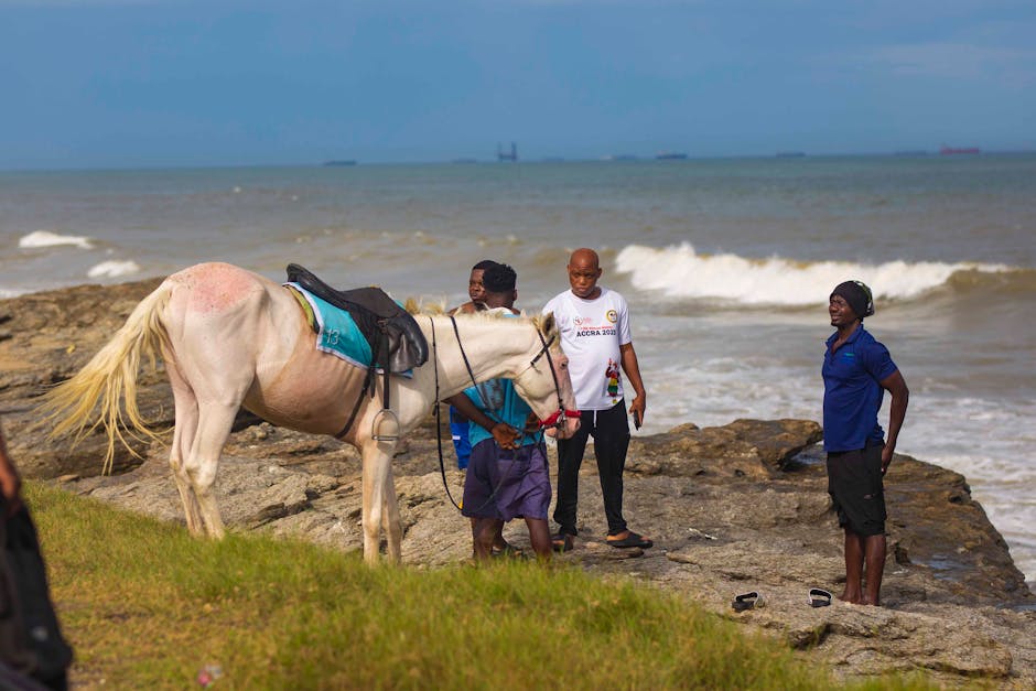 Four men and a horse on a rocky beach in Ghana, vibrant seaside scene.