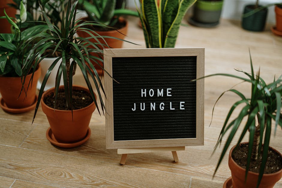 Cozy indoor setup featuring various potted plants and a "HOME JUNGLE" sign.