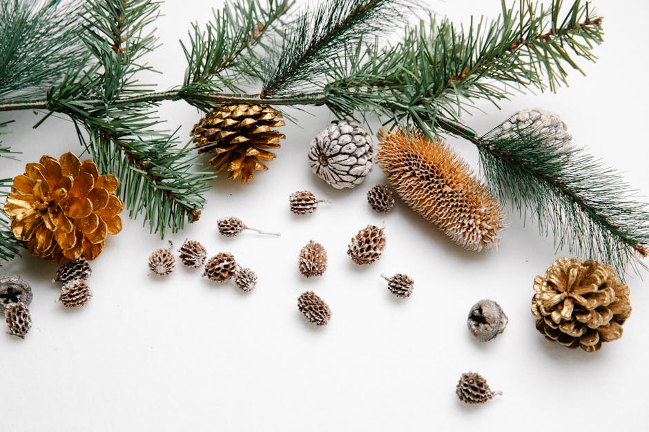 A decorative collection of pine cones and evergreen branches on a white background.