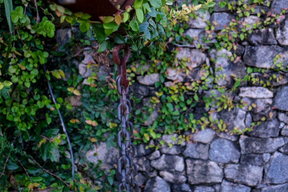 A rusty metal chain hanging amidst vibrant green plants and rustic stone wall.