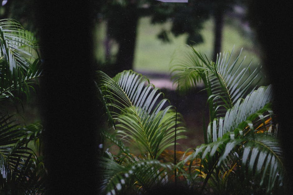 Close-up of lush areca palm leaves with a natural background.