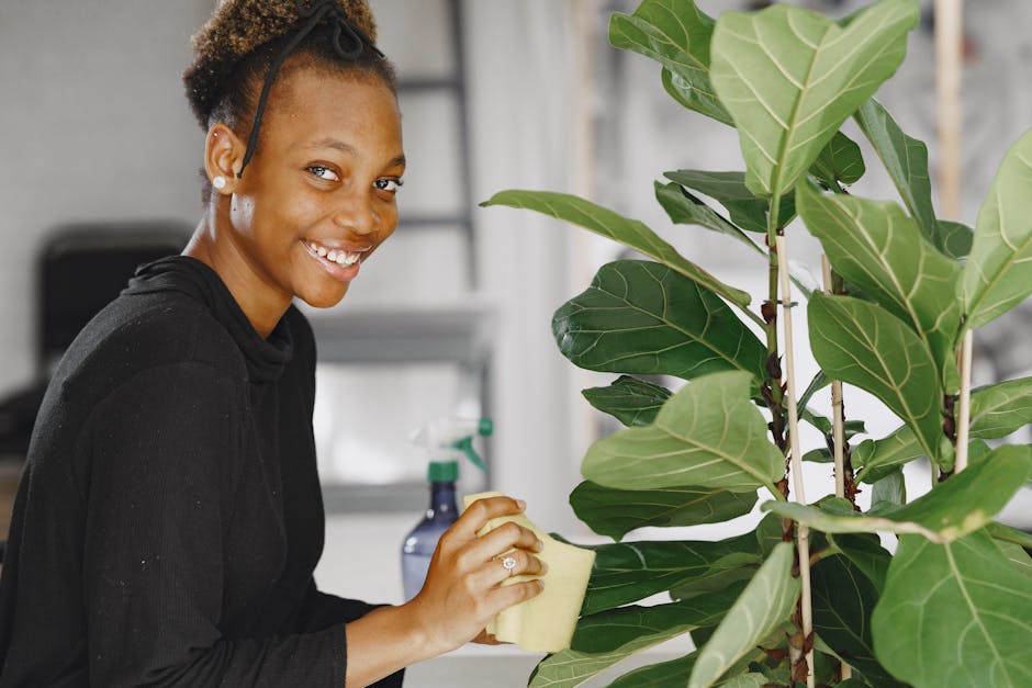 Smiling woman cleans indoor plant leaves with a sponge, promoting plant care.