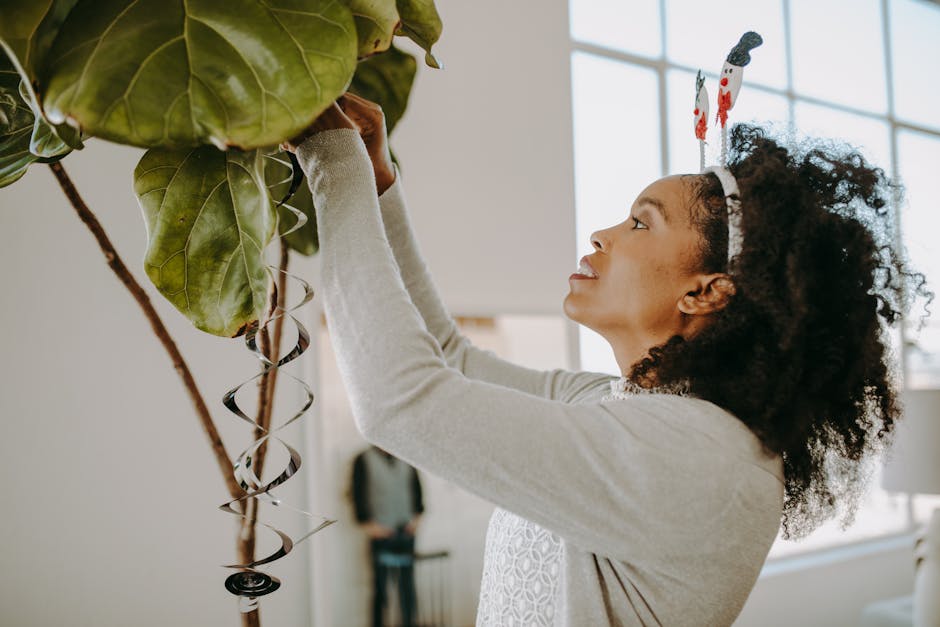 A woman decorates a large indoor plant with whimsical holiday ornaments.