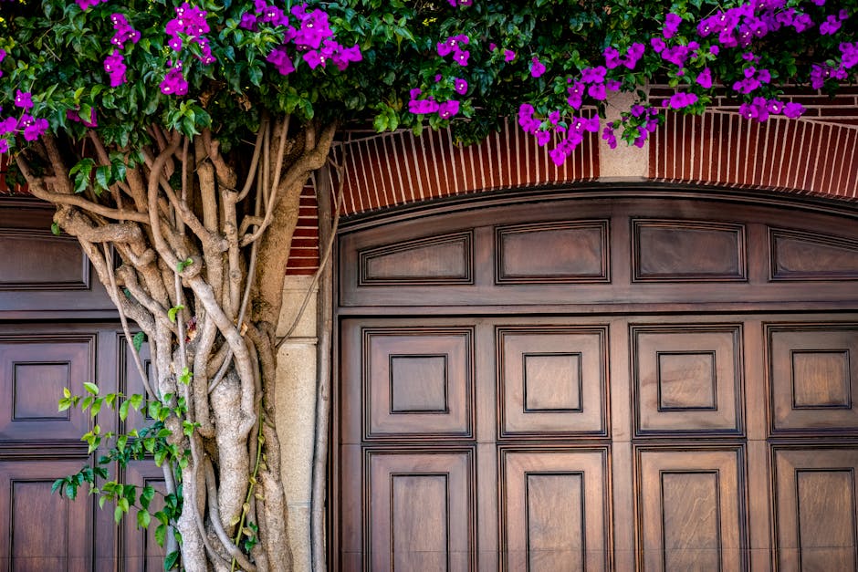 A vibrant bougainvillea vine with purple flowers growing above a wooden garage door, adding charm to the exterior.