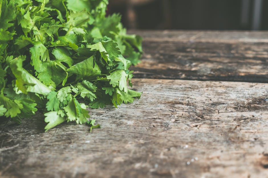 A bunch of fresh cilantro on a rustic wooden table, perfect for cooking inspiration.
