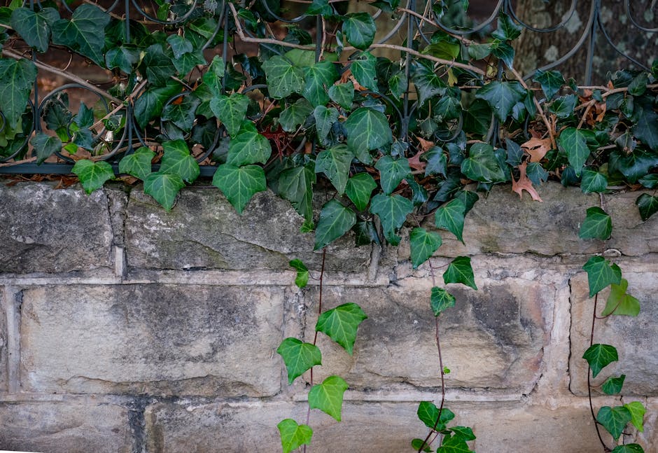 Cây Bụi Trồng Xen Canh