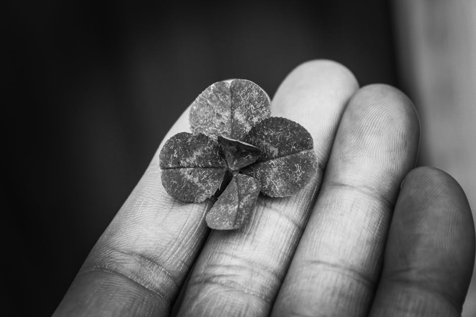 Close-up of a four-leaf clover resting on fingertips in grayscale.