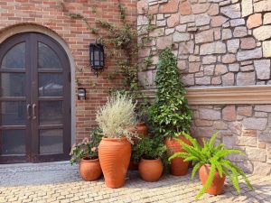 cảnh quan sân vườn