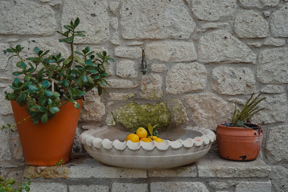 A rustic outdoor scene featuring potted plants and citrus fruits on a stone wall fountain.