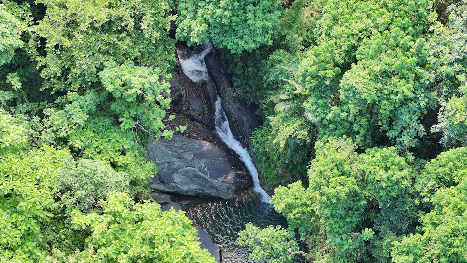 Thiết Kế Cảnh Quan Sân Vườn