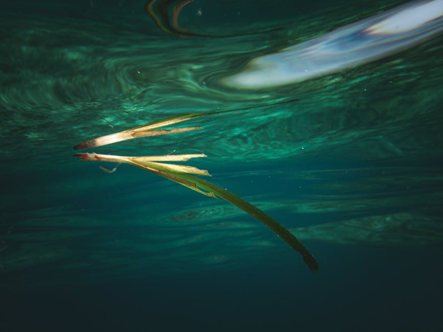 A tranquil underwater scene featuring a single leaf floating gracefully, capturing the essence of aquatic life.