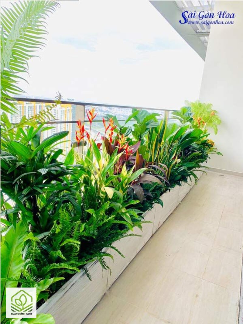 Bồn cây xây sẵn sân vườn - Cái được: bền, đúng kích cỡ, ăn với kiến trúc Bồn cây xây sẵn sân vườn - Cái được: bền, đúng kích cỡ, ăn với kiến trúc
