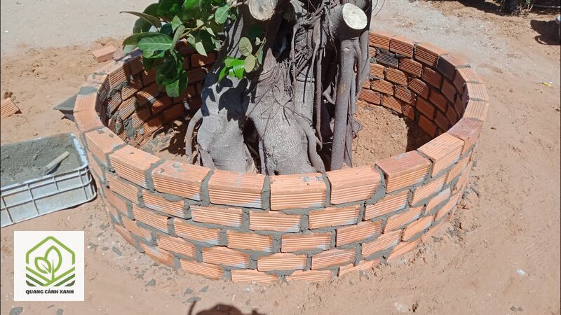 Bồn cây xây sẵn sân vườn - Thoát nước đáy bồn: nguyên nhân chết cây phổ biến nhất Bồn cây xây sẵn sân vườn - Thoát nước đáy bồn: nguyên nhân chết cây phổ biến nhất