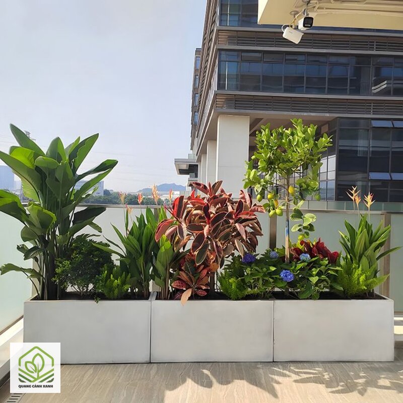 Bồn cây xây sẵn sân vườn - Độ sâu đủ cho loại cây định trồng Bồn cây xây sẵn sân vườn - Độ sâu đủ cho loại cây định trồng