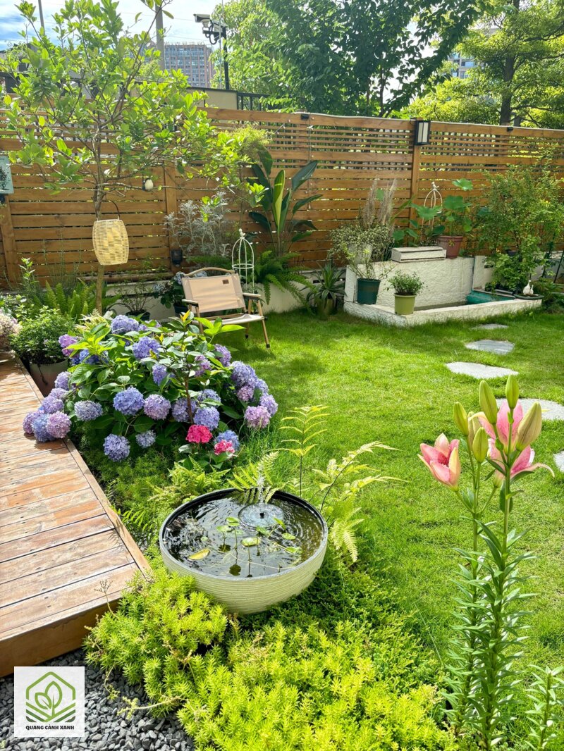 Cải tạo sân vườn cũ - Cây nào nên bỏ, và bỏ vì lý do gì Cải tạo sân vườn cũ - Cây nào nên bỏ, và bỏ vì lý do gì