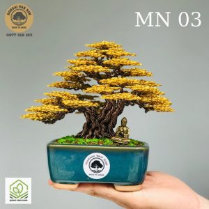 cay bonsai de ban lam viec 1