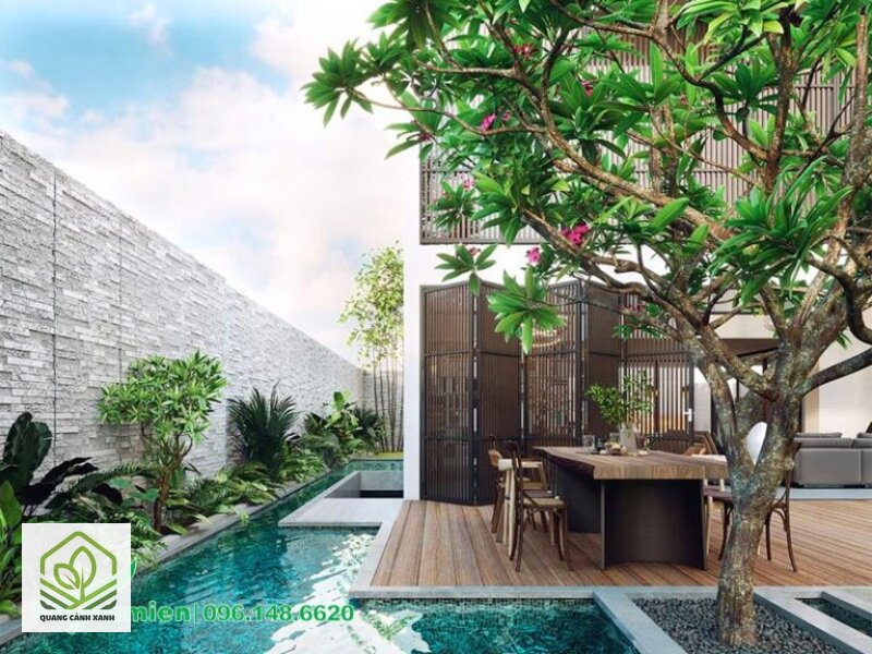 Cây trồng ven hồ bơi - Rụng lá và rụng hoa nhiều — vấn đề số một Cây trồng ven hồ bơi - Rụng lá và rụng hoa nhiều — vấn đề số một