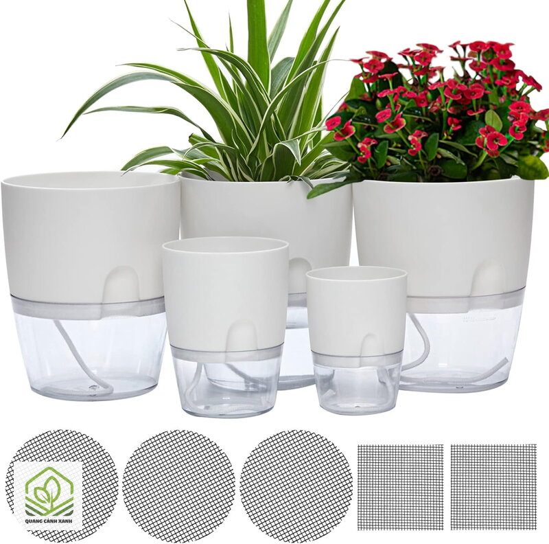 Chậu tự tưới cho người bận rộn - Đừng để khoang đầy nước quanh năm Chậu tự tưới cho người bận rộn - Đừng để khoang đầy nước quanh năm