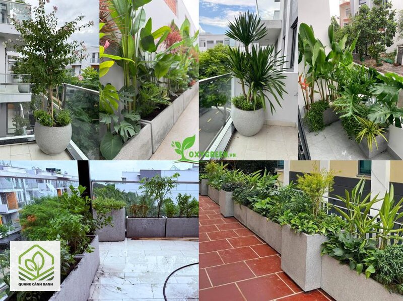 Chậu xi măng trồng cây ngoài trời - Nặng nên vững trước gió