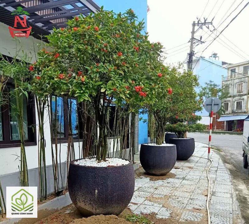 Chậu xi măng trồng cây ngoài trời - Nặng tới mức phải tính tải trọng