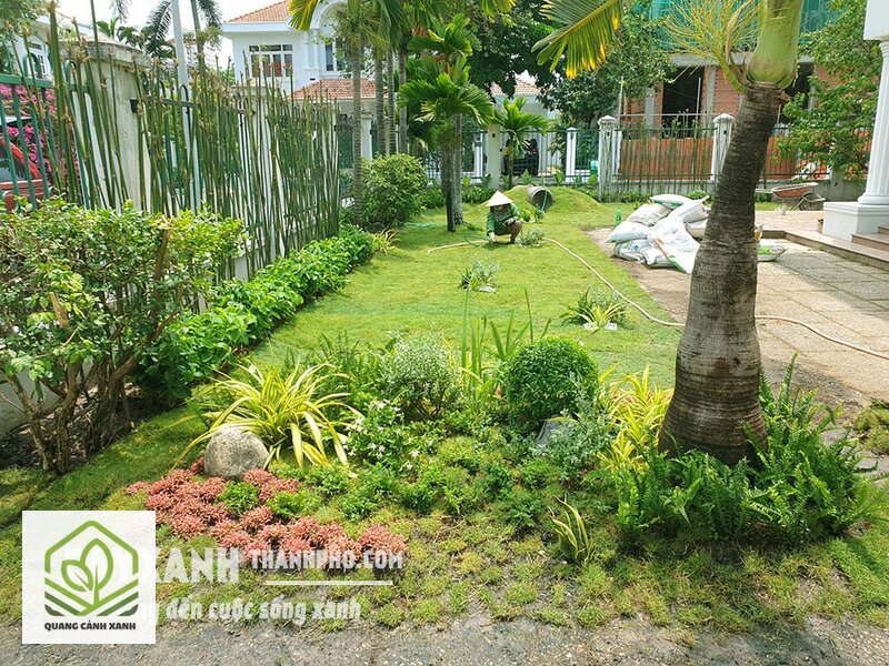 Chi phí thi công sân vườn trên m2 - Vì sao chi phí thi công sân vườn trên m2 dao động rất lớn Chi phí thi công sân vườn trên m2 - Vì sao chi phí thi công sân vườn trên m2 dao động rất lớn