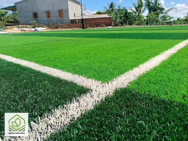 Cỏ nhân tạo hay cỏ tự nhiên - Bảng so sánh cỏ nhân tạo hay cỏ tự nhiên theo bảy tiêu chí Cỏ nhân tạo hay cỏ tự nhiên - Bảng so sánh cỏ nhân tạo hay cỏ tự nhiên theo bảy tiêu chí