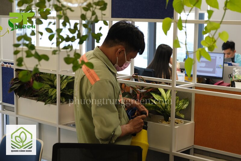 Dịch vụ chăm sóc cây xanh văn phòng - Việc làm mỗi lần tới Dịch vụ chăm sóc cây xanh văn phòng - Việc làm mỗi lần tới