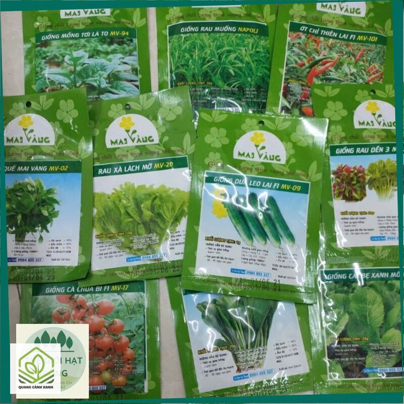 Hạt giống rau dễ trồng tại nhà - Đo nắng thật trước khi mua hạt Hạt giống rau dễ trồng tại nhà - Đo nắng thật trước khi mua hạt