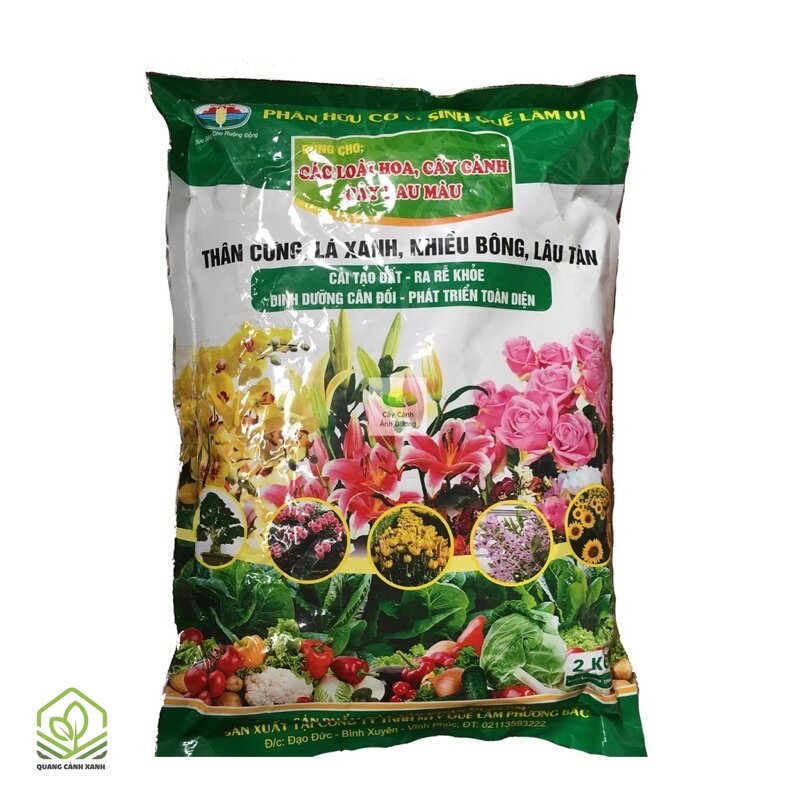 Phân bón hữu cơ cho cây cảnh - Phân chuồng đã ủ hoai và phân trùn quế