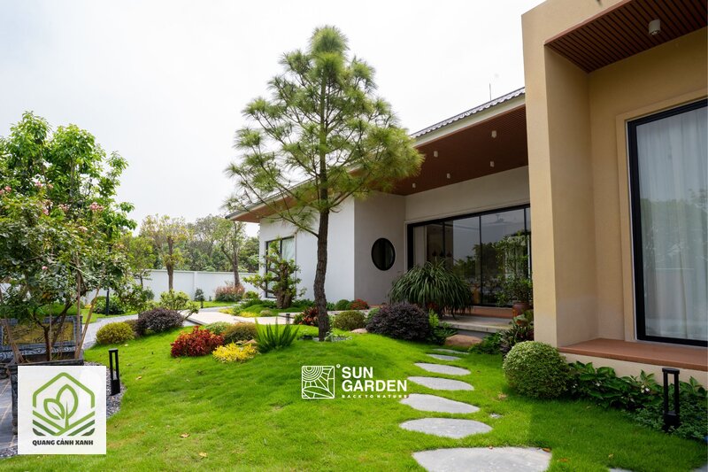 Sai lầm thường gặp khi thiết kế sân vườn - Cơ chế: rễ chết vì ngạt chứ không vì thiếu nước Sai lầm thường gặp khi thiết kế sân vườn - Cơ chế: rễ chết vì ngạt chứ không vì thiếu nước