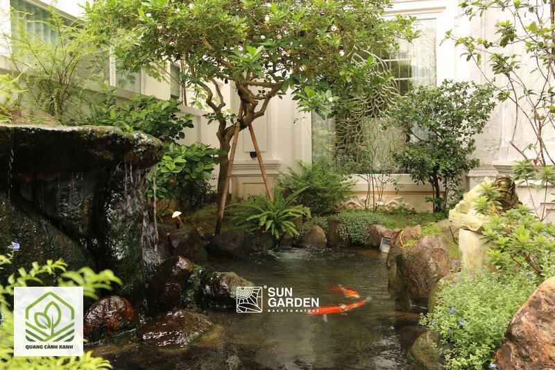 Sai lầm thường gặp khi thiết kế sân vườn - Chọn cây mình thích thay vì cây sống được ở chỗ đó Sai lầm thường gặp khi thiết kế sân vườn - Chọn cây mình thích thay vì cây sống được ở chỗ đó