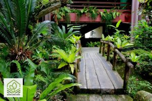 san vuon phong cach bali 1