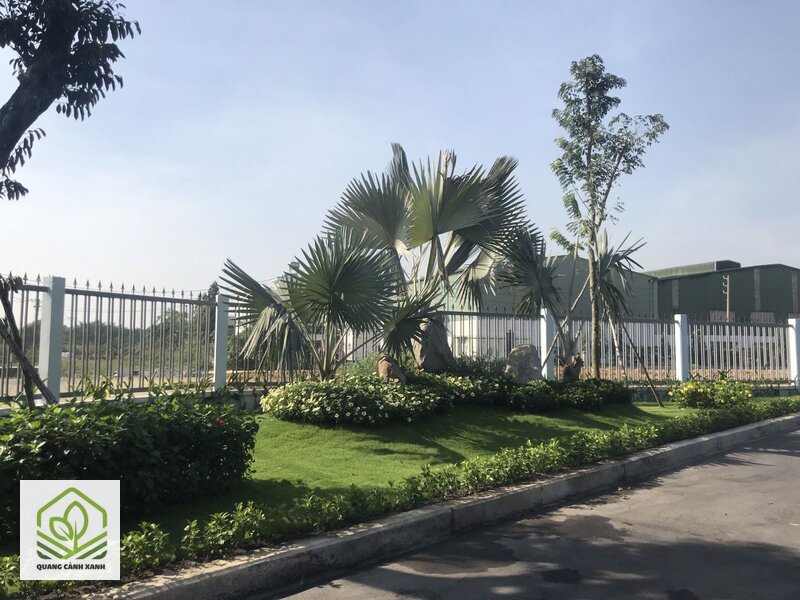 Thi công cảnh quan nhà máy khu công nghiệp - Diện tích lớn biến đơn giá thành yếu tố quyết định