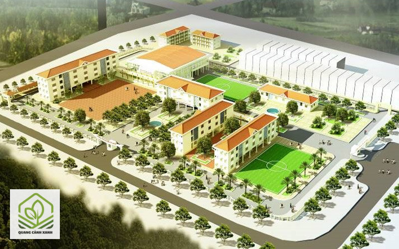 Thiết kế cảnh quan trường học - Bốn nhóm cây phải loại thẳng
