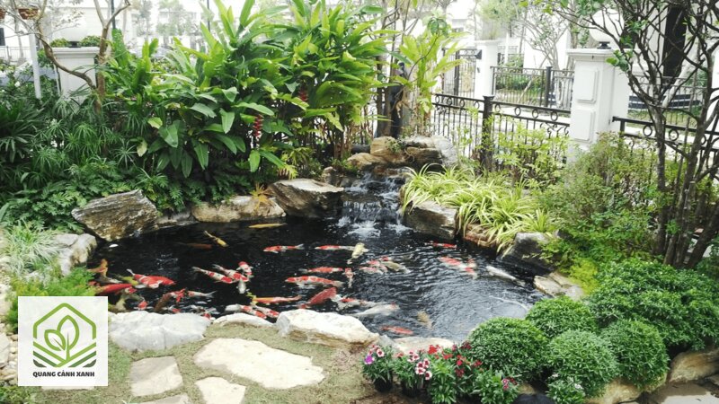 Thiết kế hồ cá koi sân vườn - Lọc sinh học: chỗ ở cho vi sinh