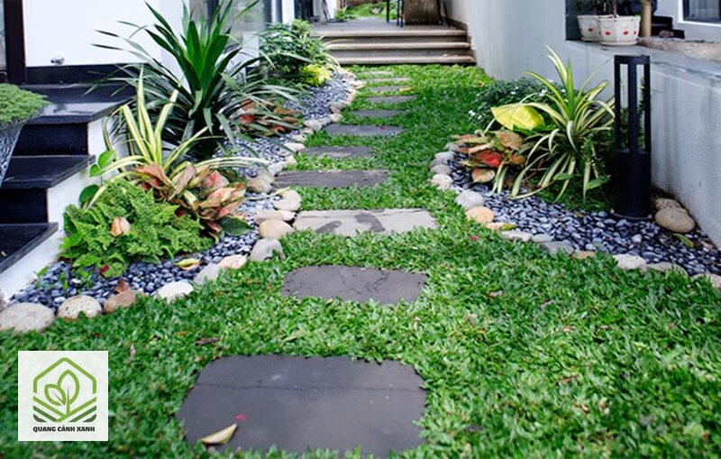 Thiết kế lối đi sân vườn - Vệt cỏ chết là bản vẽ do người dùng tự vạch