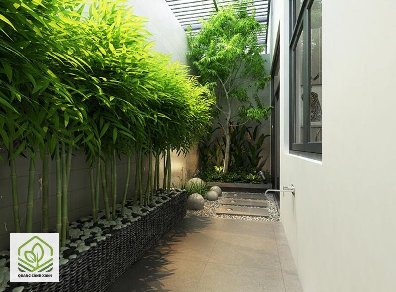 Thiết kế sân vườn nhà ống - Chọn cây chịu sáng gián tiếp, ẩm cao và ít rụng lá Thiết kế sân vườn nhà ống - Chọn cây chịu sáng gián tiếp, ẩm cao và ít rụng lá