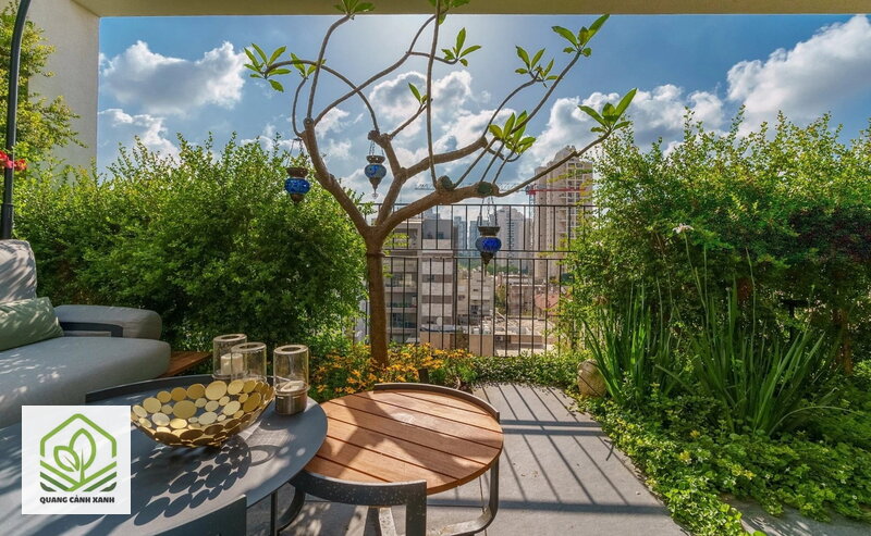 Thiết kế sân vườn penthouse - Gió và nắng: hai thứ giết cây mà bản vẽ hay bỏ quên Thiết kế sân vườn penthouse - Gió và nắng: hai thứ giết cây mà bản vẽ hay bỏ quên