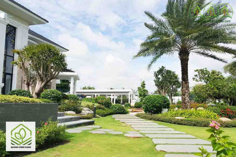 Thiết kế sân vườn Vũng Tàu - Lớp ngoài dùng cây gì