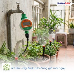 tuoi cay khi di vang dai ngay 1