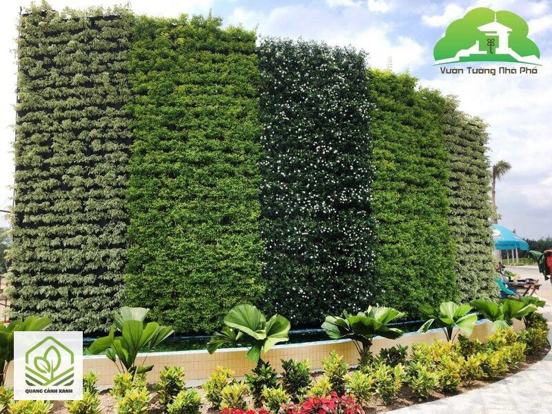 Tường cây xanh đứng - Vì sao không dùng đất thường