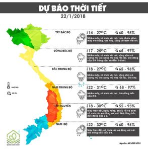 du bao thoi tiet 1