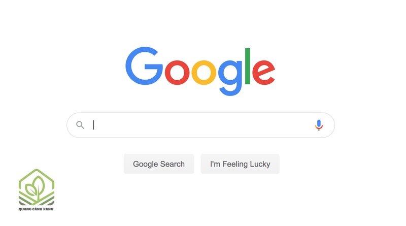 Google - Tìm kiếm hình ảnh