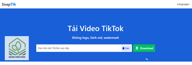 Snaptik - Công cụ tải hoạt động ra sao Snaptik - Công cụ tải hoạt động ra sao